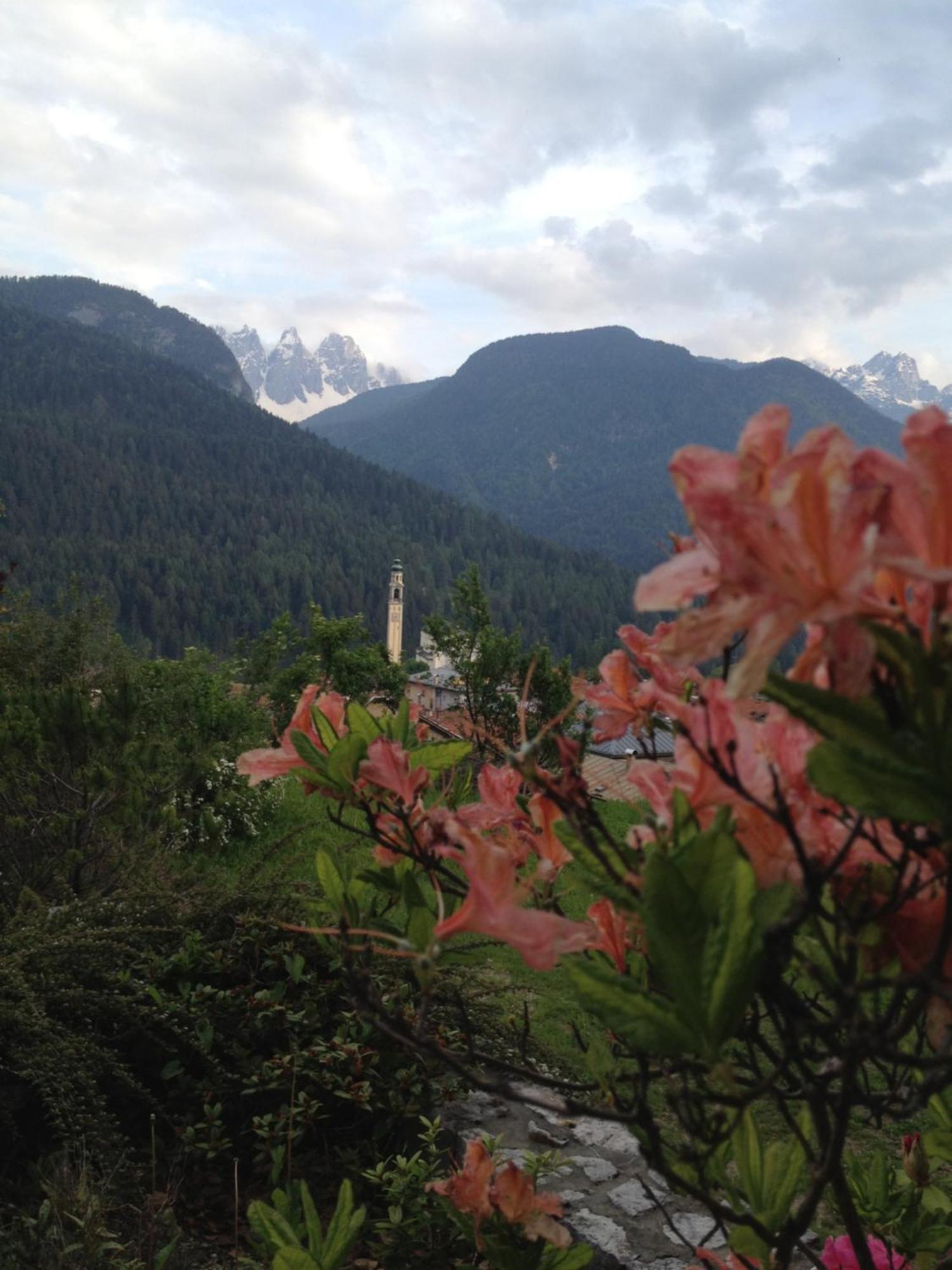 Bed and Breakfast Fra Rose E Mughi Domegge di Cadore Exterior foto