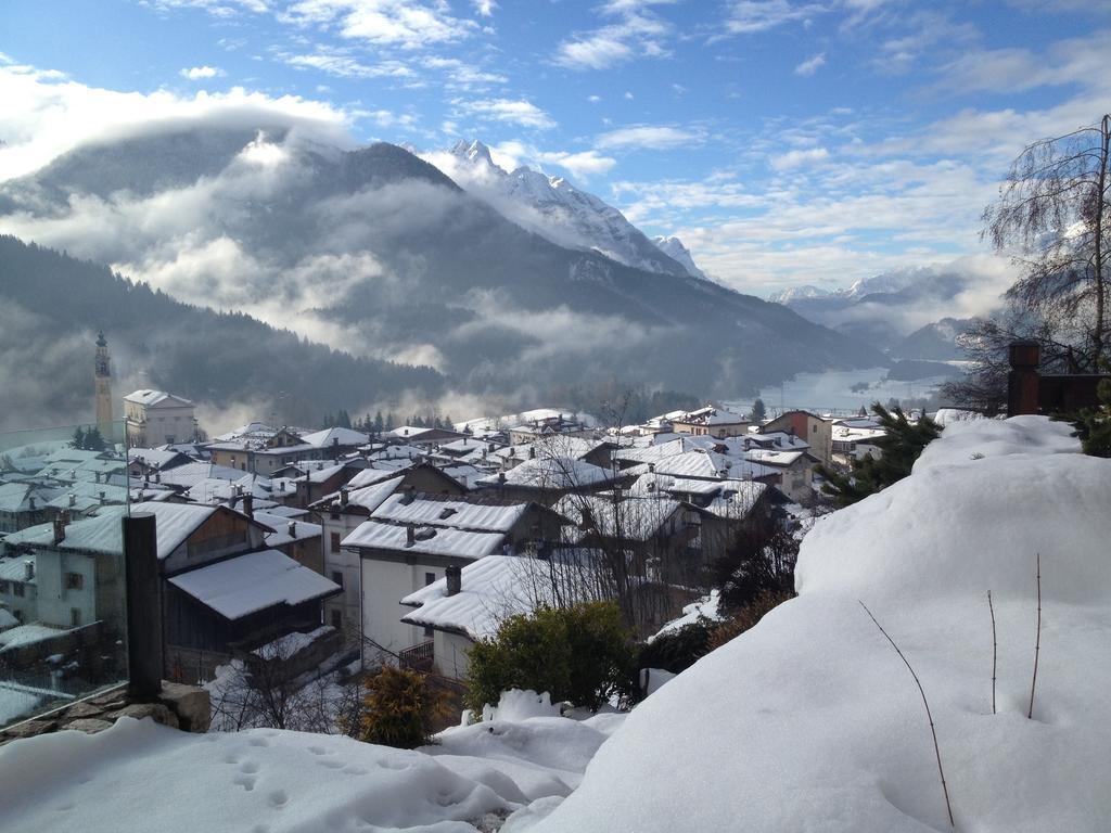 Bed and Breakfast Fra Rose E Mughi Domegge di Cadore Exterior foto